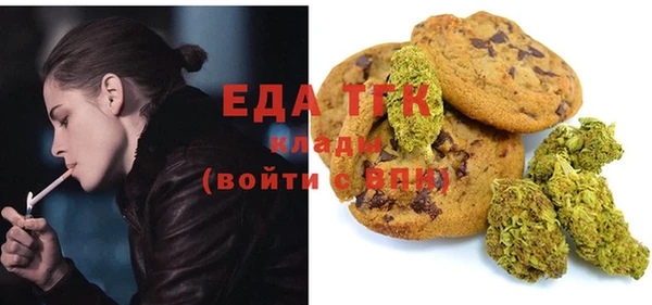 дживик Няндома