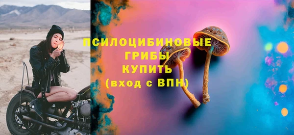твердый Нягань