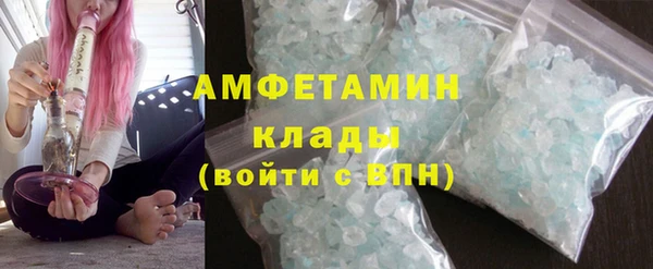 дживик Няндома