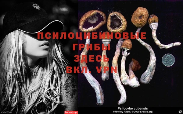 меф Нязепетровск