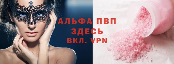 дживик Няндома