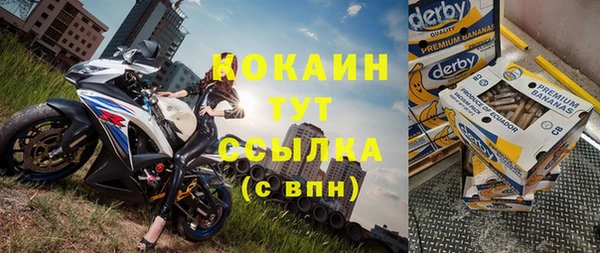 дживик Няндома