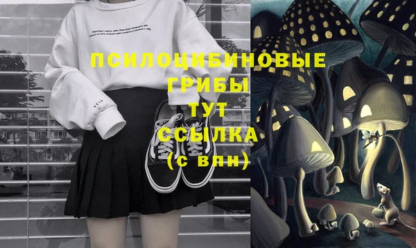 дживик Няндома