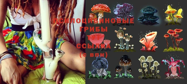меф Нязепетровск