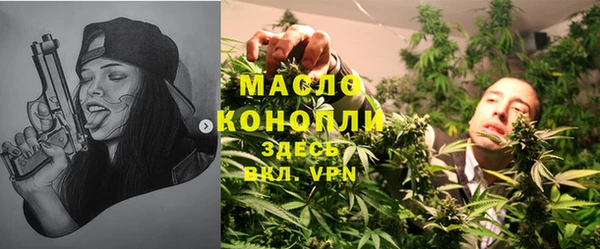 дживик Няндома