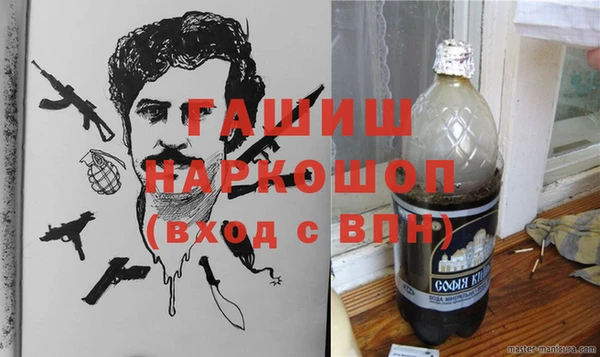дживик Няндома