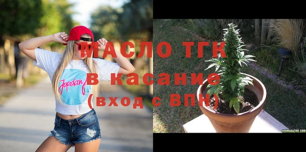 дживик Няндома