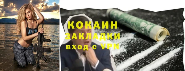 дживик Няндома