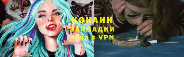 дживик Няндома