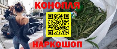 шишки Заводоуковск