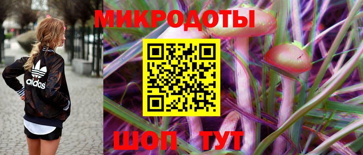 Псилоцибиновые грибы Psilocybine cubensis Ишим