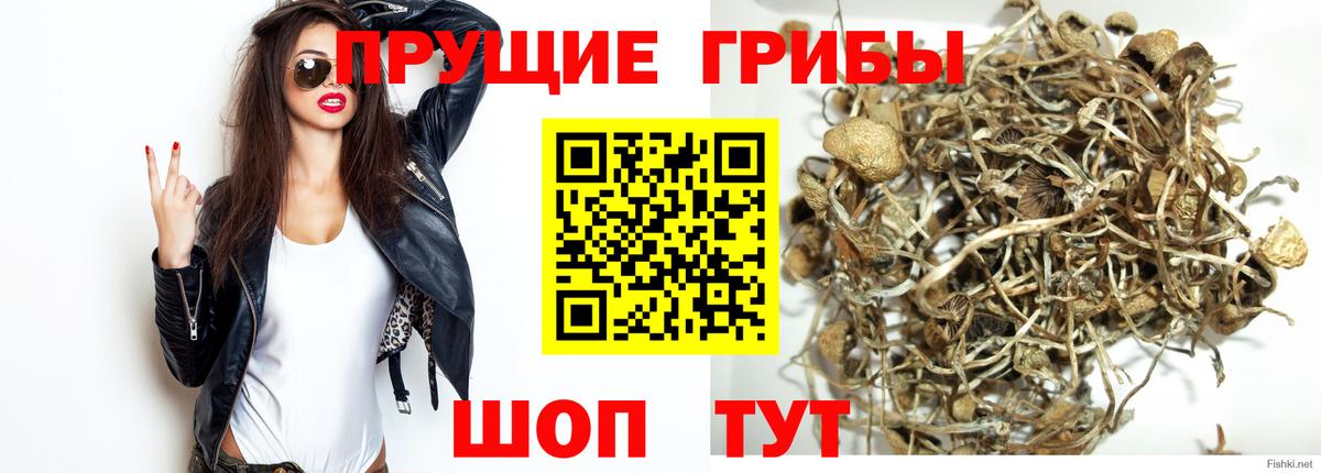 Ишим  Псилоцибиновые грибы ЛСД  Вход с VPN 