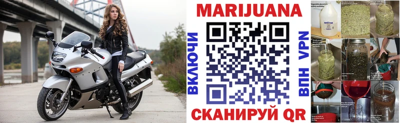 продажа наркотиков  Ишим  Канабис OG Kush 